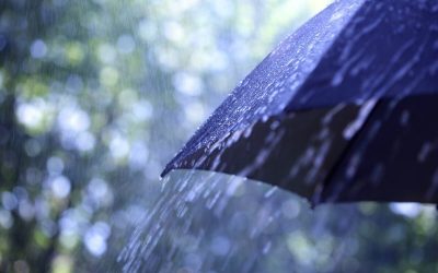 Roger Menden’s Case for Umbrella Insurance